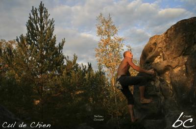 "Yellow Circuit" (5)